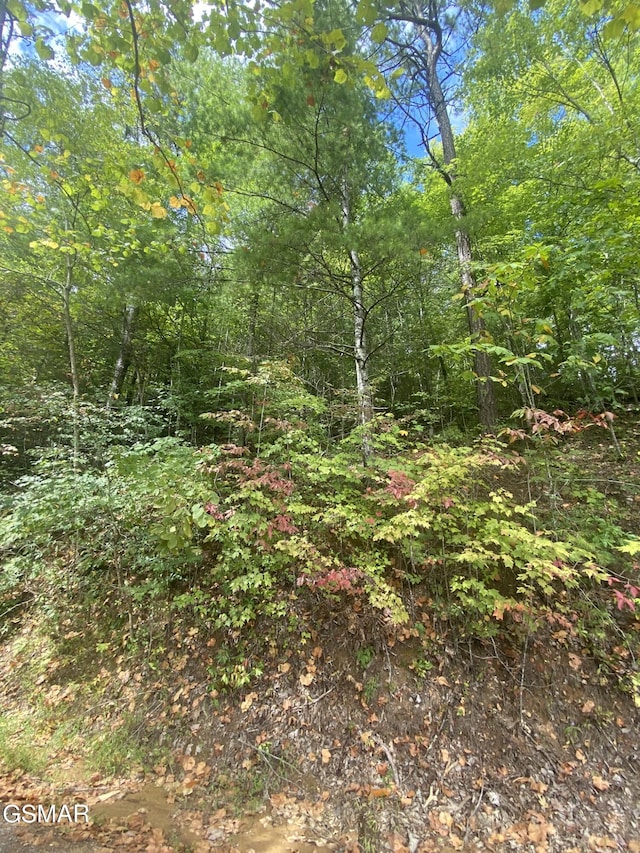 LOT9 Sunset Rd, Sevierville, TN 37876