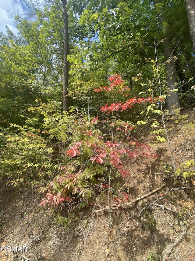 LOT9 Sunset Rd, Sevierville, TN 37876