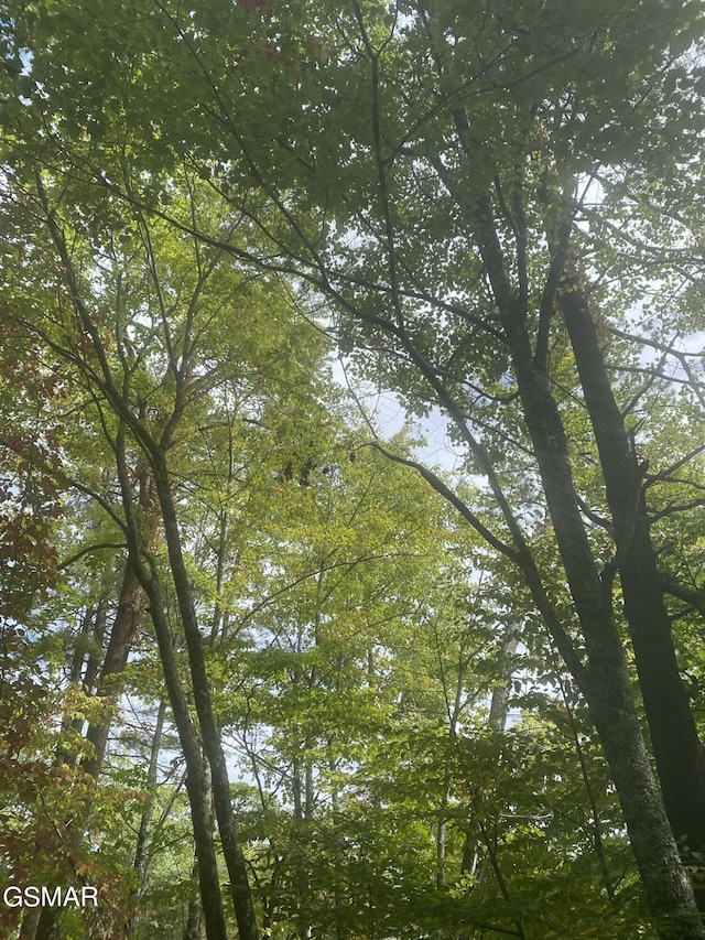 LOT9 Sunset Rd, Sevierville, TN 37876