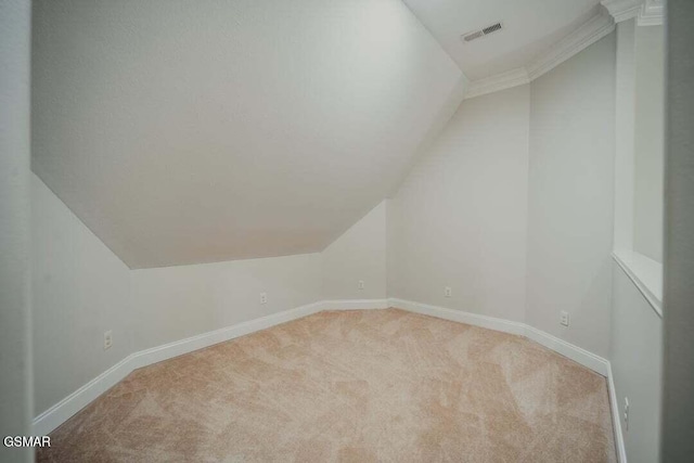 118 Luxury Ln, Dandridge, TN 37725 - additional living space featuring light colored carpet, lofted ceiling, and baseboards