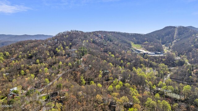 property view of mountains with a view of trees