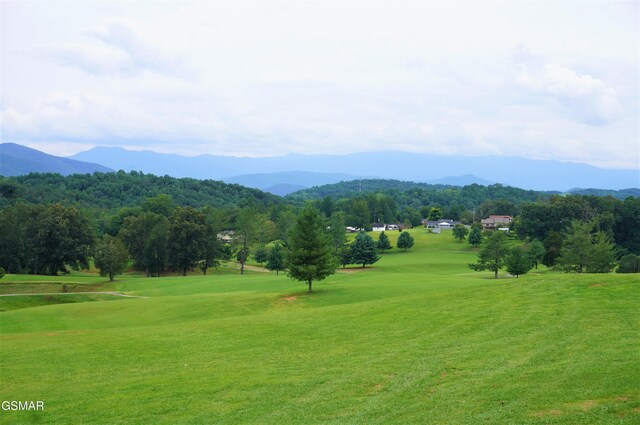 view of home's community featuring a mountain view and a yard