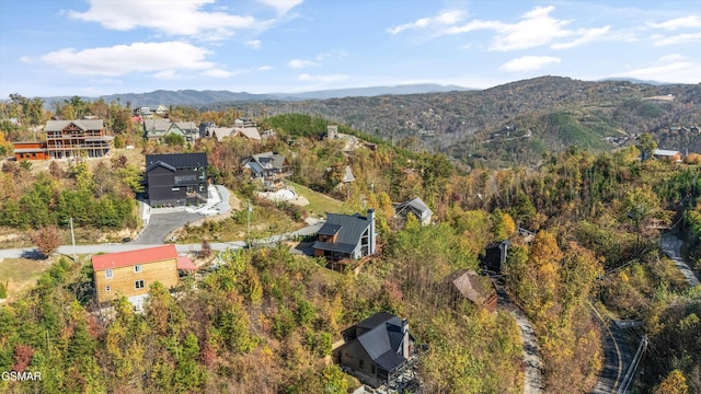 drone / aerial view featuring a mountain view