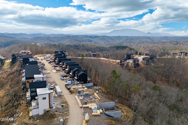 birds eye view of property featuring a mountain view