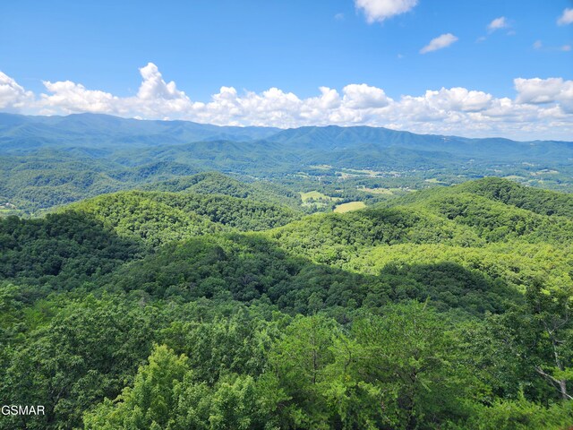1986 Carrs Creek Rd, Townsend, TN 37882 - photo 17