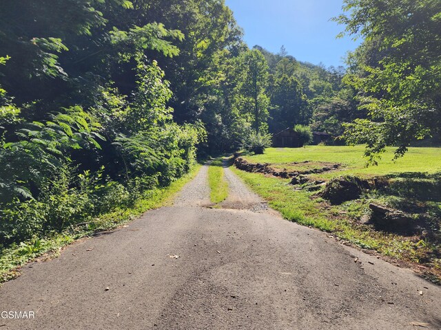 1986 Carrs Creek Rd, Townsend, TN 37882 - photo 4