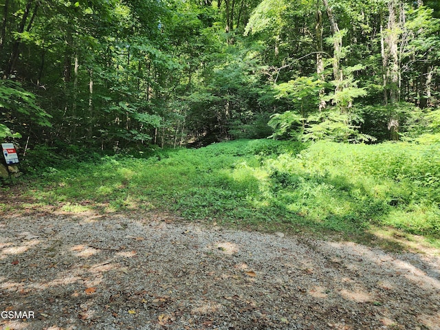 1986 Carrs Creek Rd, Townsend, TN 37882 - photo 1