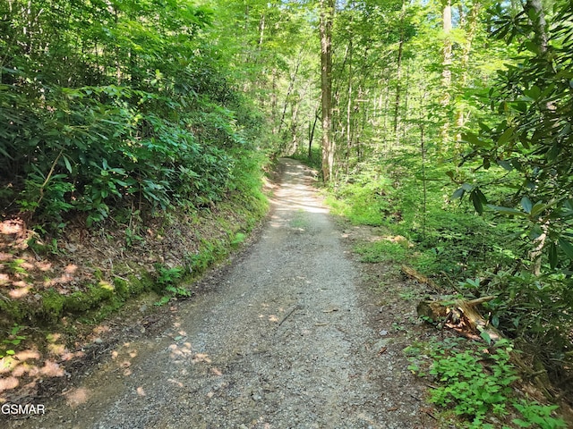 1986 Carrs Creek Rd, Townsend, TN 37882 - photo 5