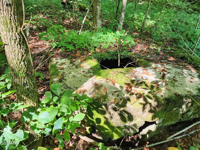 1986 Carrs Creek Rd, Townsend, TN 37882 - photo 8