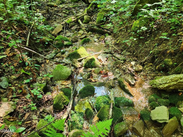 1986 Carrs Creek Rd, Townsend, TN 37882 - photo 10
