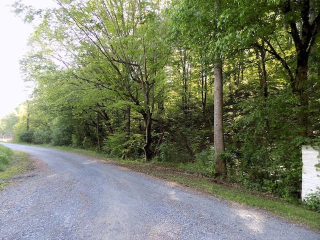 PAR023.04 Driftwood Rd, Cosby TN, 37722 land for sale