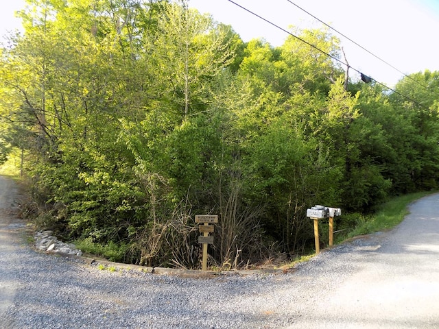 Listing photo 2 for PAR023.04 Driftwood Rd, Cosby TN 37722