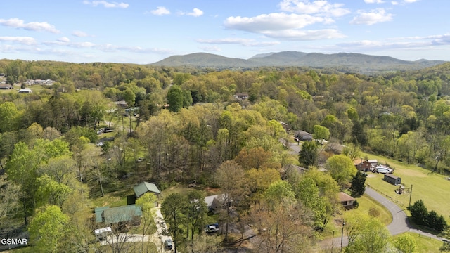 aerial view featuring a view of trees and a mountain view
