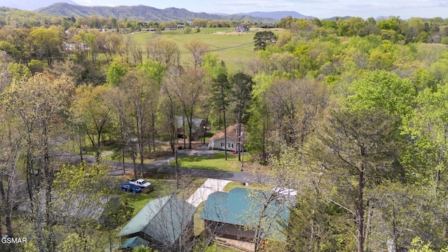 bird's eye view with a mountain view