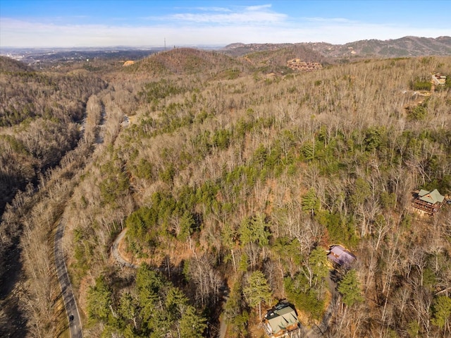 Listing photo 3 for LOTTR1R S King Branch Rd, Sevierville TN 37876