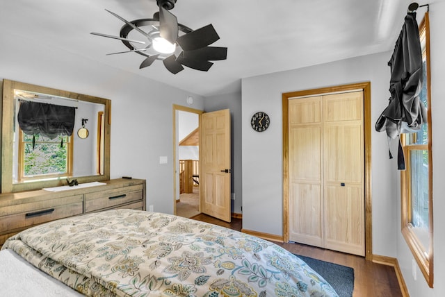 bedroom with ceiling fan, dark wood-type flooring, and a closet