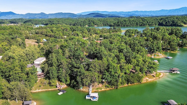 bird's eye view with a water and mountain view