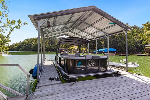 dock area with a water view