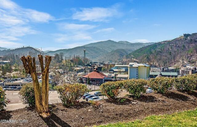 102 Baskins Creek Byp Unit 104, Gatlinburg, TN 37738 - view of mountain background
