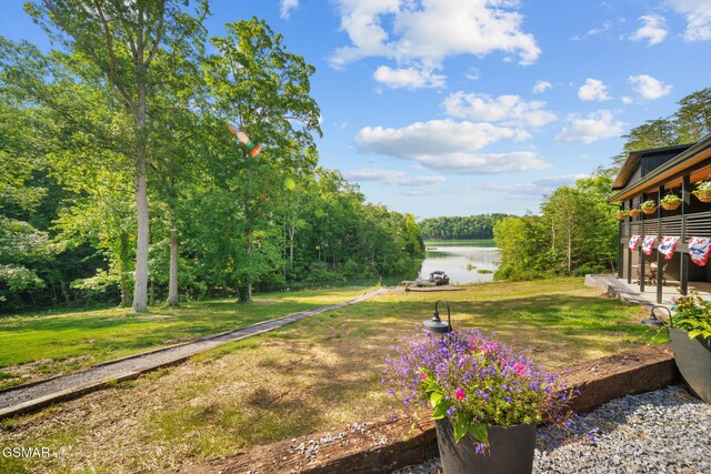 2466 Mcqueen Way, Sevierville, TN 37876 - photo 19