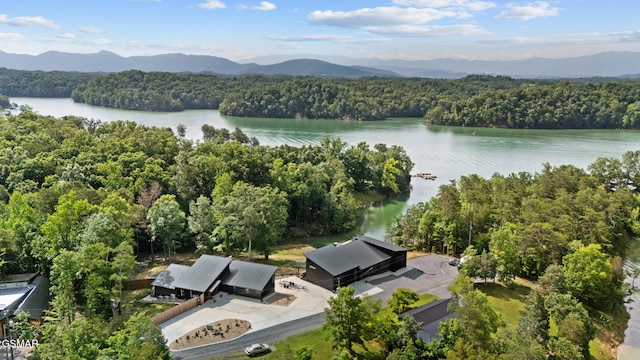 2466 Mcqueen Way, Sevierville, TN 37876 - photo 4