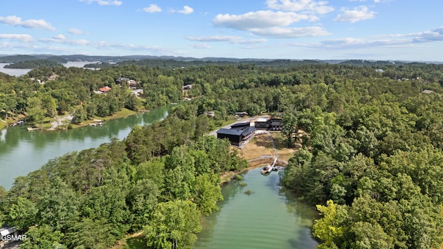2466 Mcqueen Way, Sevierville, TN 37876 - photo 11