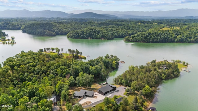 2466 Mcqueen Way, Sevierville, TN 37876 - photo 8
