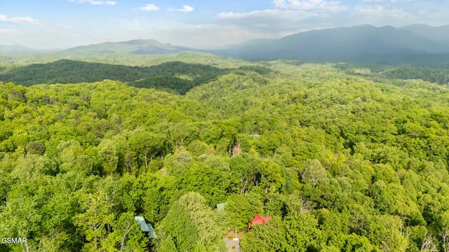 2126 Loafers Glory Way, Gatlinburg, TN 37738 - property view of mountains featuring a view of trees