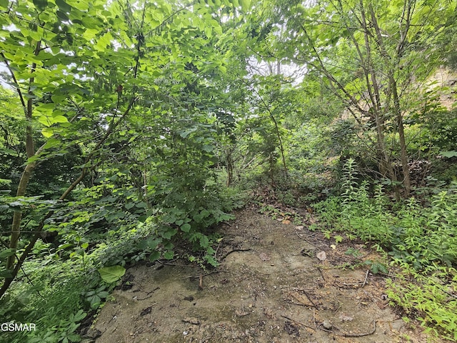 1837 Walker Trl, Sevierville, TN 37876