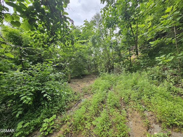 1837 Walker Trl, Sevierville, TN 37876