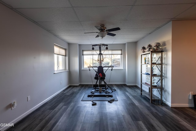 exercise room featuring dark wood-type flooring, a paneled ceiling, plenty of natural light, and ceiling fan