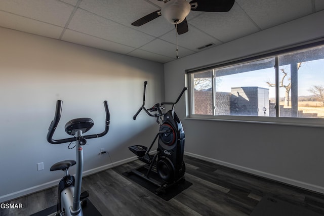 workout area featuring dark wood-type flooring and a drop ceiling