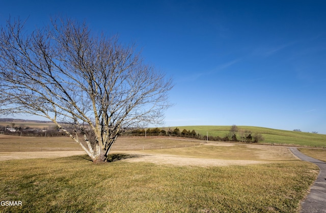 view of yard featuring a rural view