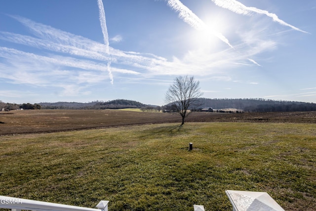 view of yard featuring a rural view