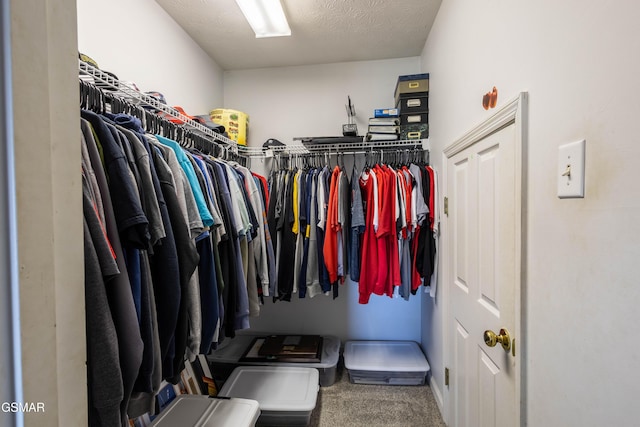 spacious closet with carpet floors