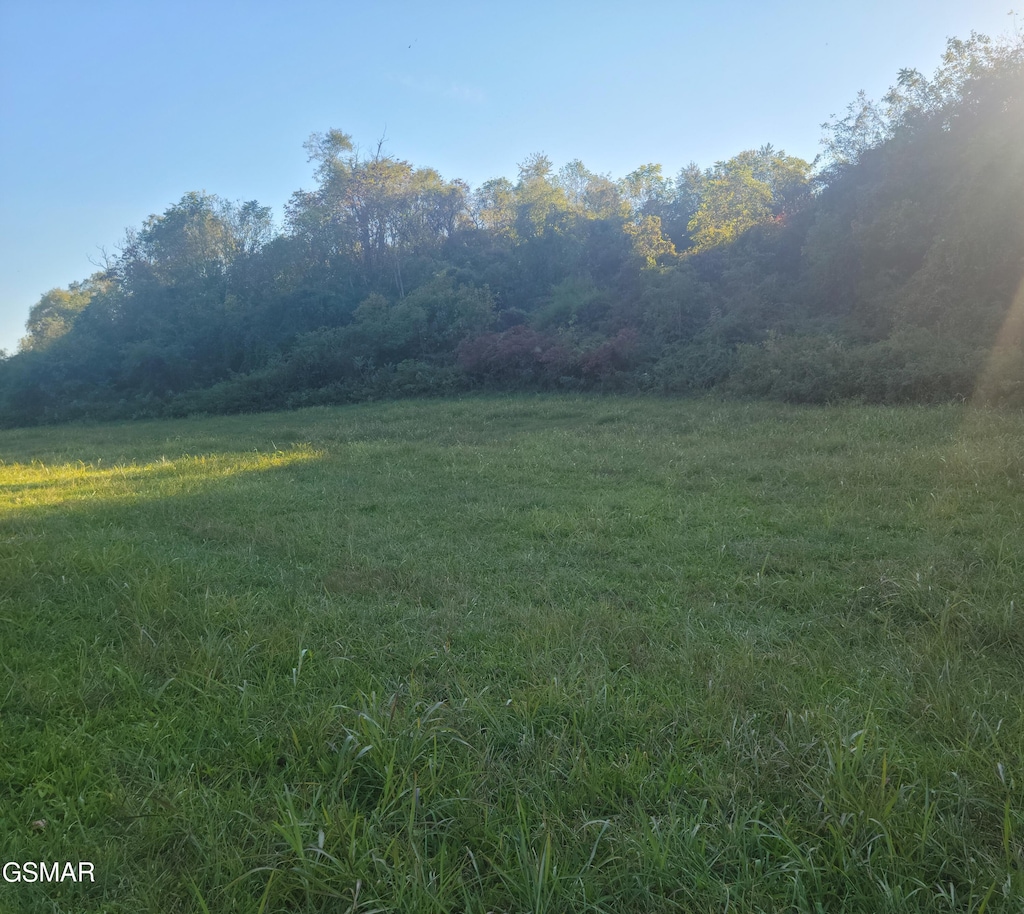 LOT8 Holston Shores Dr, Rutledge, TN 37861 - photo 4