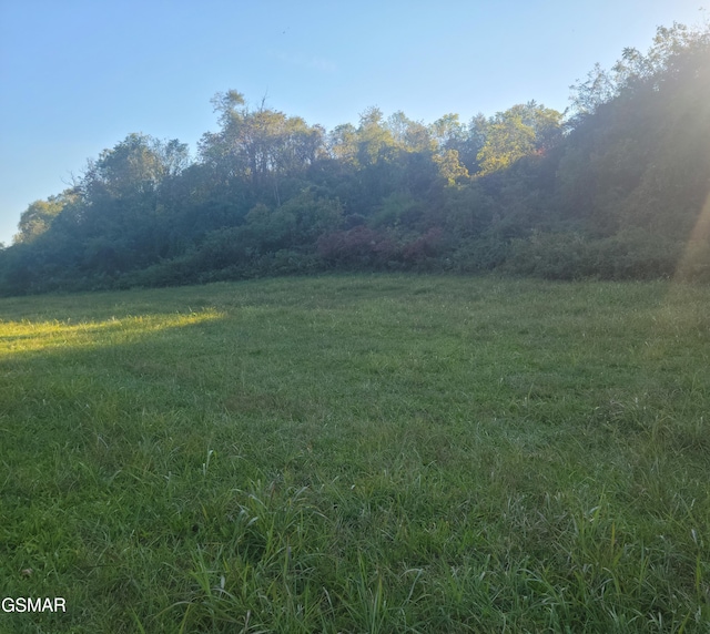 LOT8 Holston Shores Dr, Rutledge, TN 37861 - photo 4