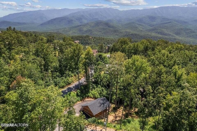 property view of mountains