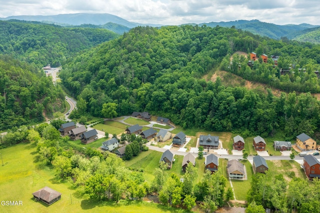 3121 Cherokee Valley Dr, Sevierville, TN 37862 - photo 51