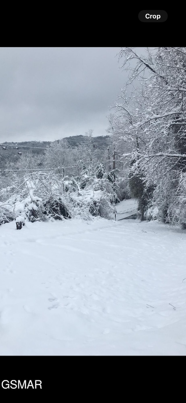 3114 Hatcher Top Rd, Sevierville, TN 37862 - view of mountain backdrop