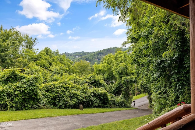3114 Hatcher Top Rd, Sevierville, TN 37862 - view of mountain background with a heavily wooded area