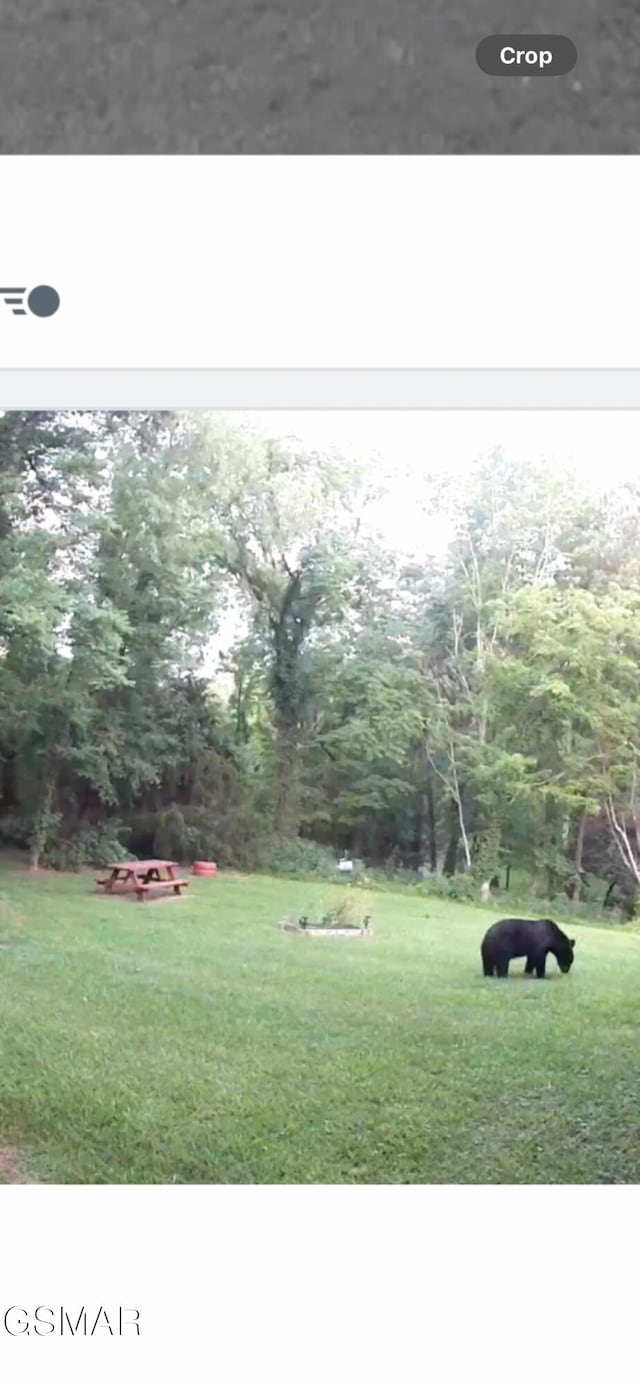 3114 Hatcher Top Rd, Sevierville, TN 37862 - view of green lawn