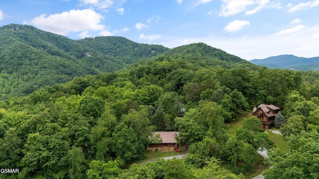 3114 Hatcher Top Rd, Sevierville, TN 37862 - view of mountain backdrop with a forest