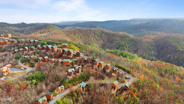 drone / aerial view with a mountain view