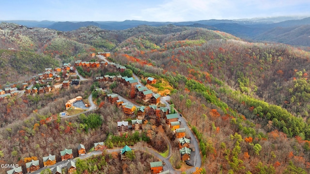 birds eye view of property with a mountain view