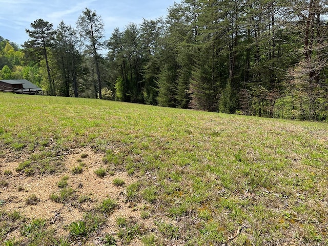 Listing photo 2 for LOT7 Jobey Green Hollow Rd, Sevierville TN 37876