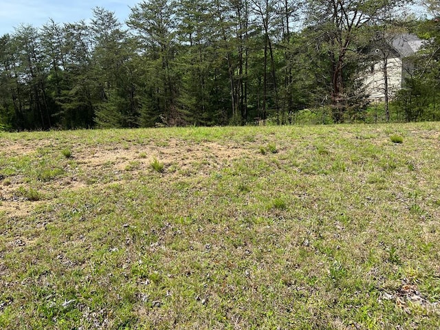 LOT7 Jobey Green Hollow Rd, Sevierville TN, 37876 land for sale