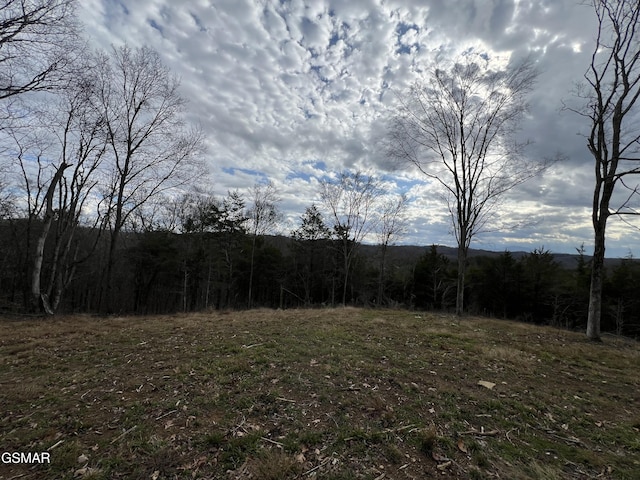 0 Goodwater Rd, Bybee TN, 37713 land for sale