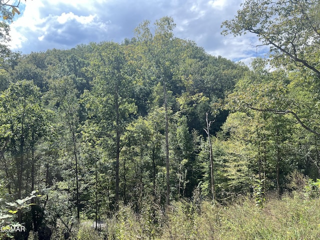 272 Cove Hollow Rd, Cosby TN, 37722 land for sale