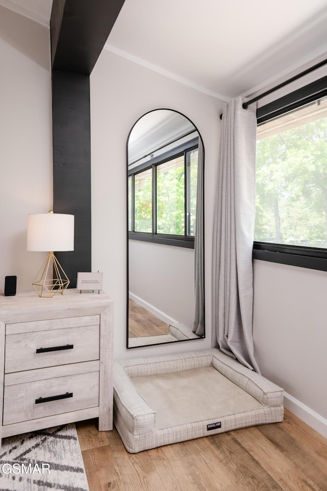 room details with baseboards and wood finished floors
